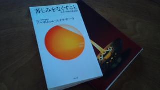 2011-07-25 11.12.03.jpg